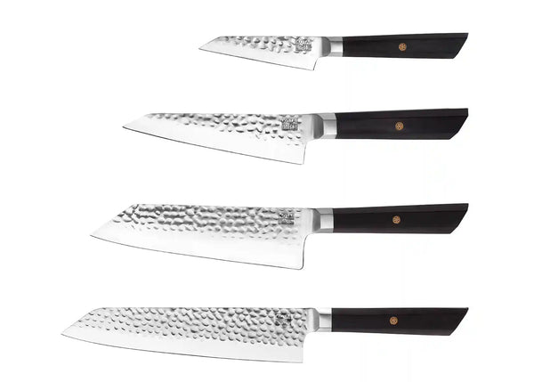 Teknica Set de 4 Couteaux Chef Noir