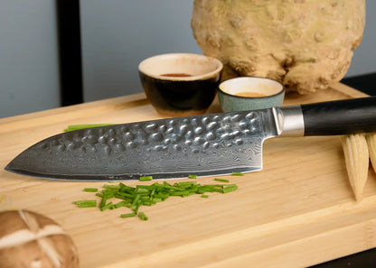 Starter 2-Piece Knife Set - Pakka Damascus Collection