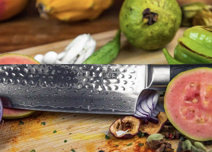 Complete Professional 10-Piece Knife Set - Pakka Damascus Collection